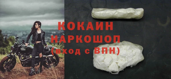 сатива Корсаков
