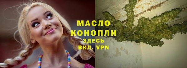 дмт Кодинск