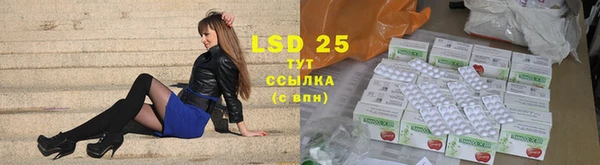 сатива Корсаков