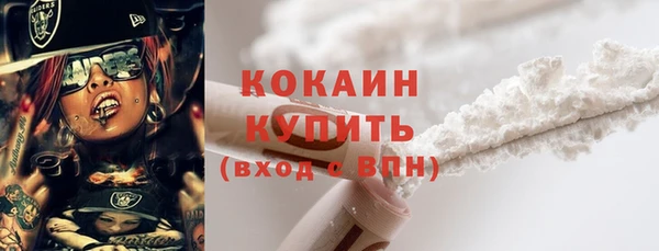 дмт Кодинск