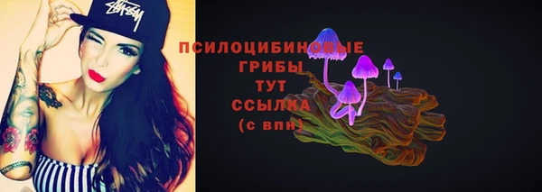 прущие крисы Костерёво