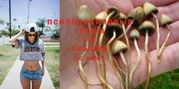 дмт Кодинск