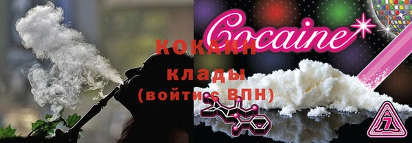 дмт Кодинск