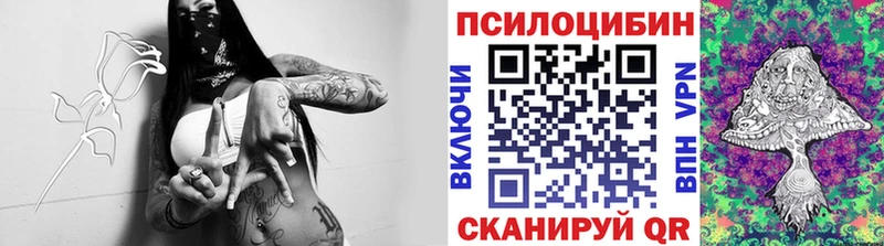 kraken tor  Ковылкино  Галлюциногенные грибы MAGIC MUSHROOMS 